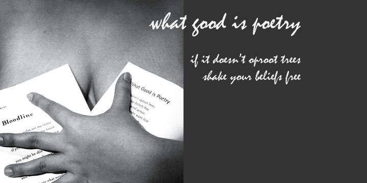 Poetic License 1